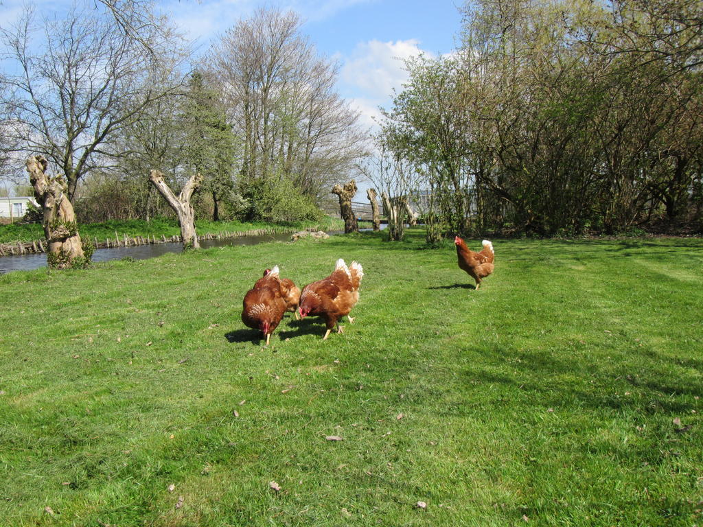 Bed&Brood De Straverdonk Graft Exterior foto